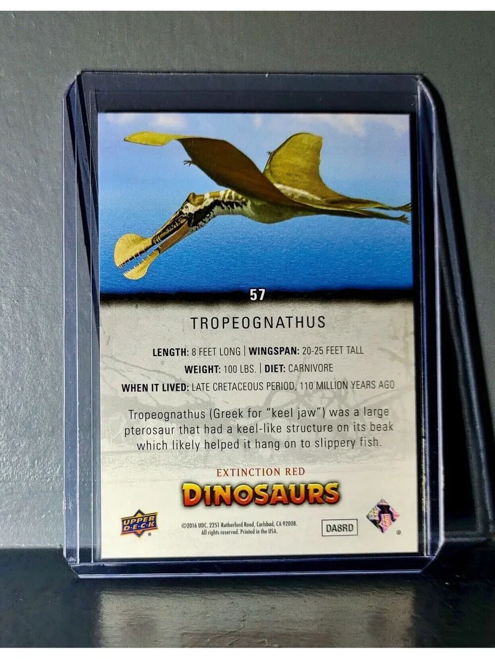 2015 Upper Deck Dinosaurs Tropeognathus Extinction Red Parallel #57 Card